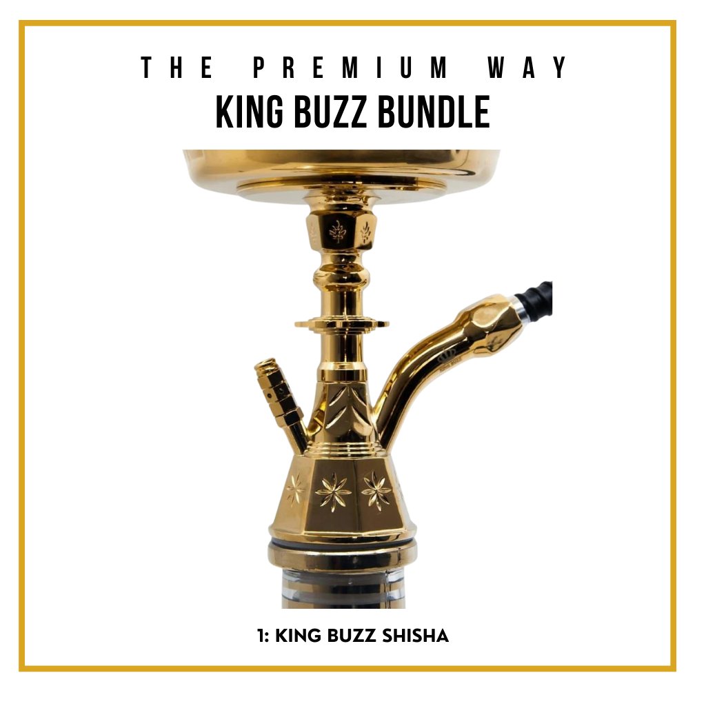 King Buzz Beginner’s Shisha Kit — 40 cm Stainless Steel, 12-Piece Set 3
