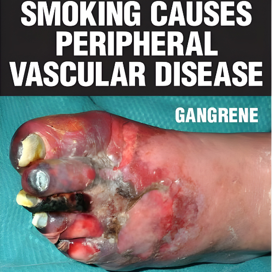 Guava Raspberry by JiBiAr – 50g Shisha Product